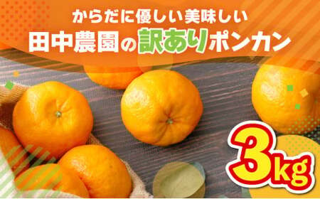 【先行予約】訳ありポンカン 3kg（L~3Lサイズ） 国産 東洋町産 訳あり 甘酸っぱい ジューシー 蜜柑 ミカン 高知県 東洋町 四国 お取り寄せ フルーツ 果物 送料無料 TA11 【田中農園】