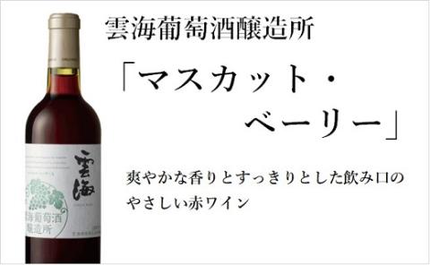 雲海 葡萄酒 醸造所 ワイン 鶏 ささみ くんせい セット おつまみ 飲み比べ 甘口 白 辛口 赤 スモーク 燻製