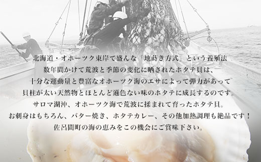 【12月発送限定】オホーツク産 『活』 ほたて 8kg（42枚～60枚） SRMN031