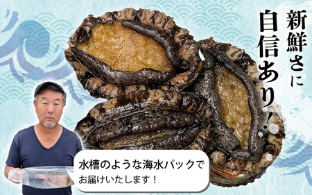天然 あわび 約600g 海水パックにて活きたままお届け！あわび  [m36-d001]