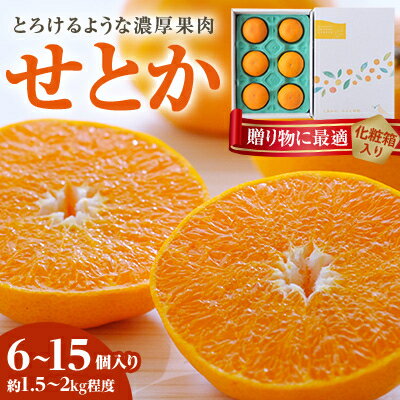 【ふるさと納税】【2026年2月以降発送】とろける濃厚柑橘 せとか ギフトボックス入り【D25-98】_ みかん ミカン 柑橘 フルーツ 果物 くだもの 青果 せとか 愛媛 産直 産地直送 国産 甘い 濃厚 旬 希少 ジューシー 【1360096】