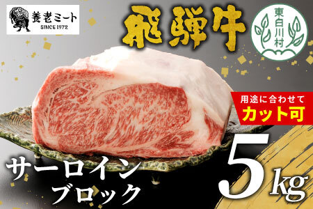 お好きなカット可能!  飛騨牛 サーロインブロック 5kg 養老ミート