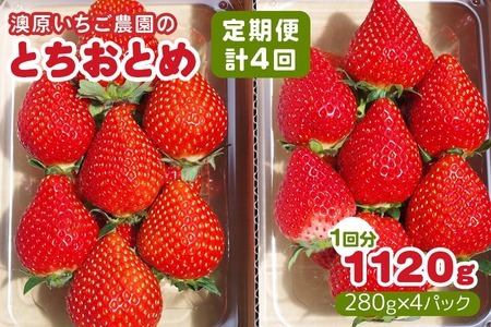 [先行予約] [4ヶ月連続定期便] とちおとめ定期便 (毎月お届け 計4回) 澳原いちご農園 | いちご イチゴ 苺 とちおとめ フルーツ 果物 産地直送 栃木県産 期間限定 数量限定