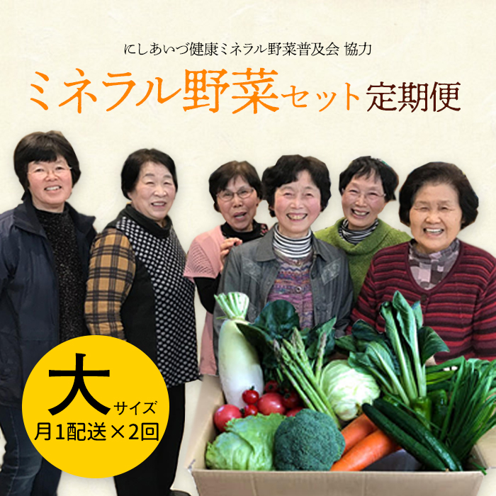 西会津ミネラル野菜セット定期便（大）2回 F4D-0733