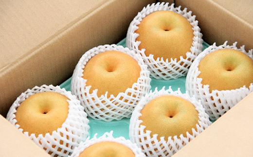 市川産　梨　豊水　3kg　【12203-0462】 なし ナシ 市川のなし 果物 くだもの フルーツ 市川市 ヤマニ果樹農園