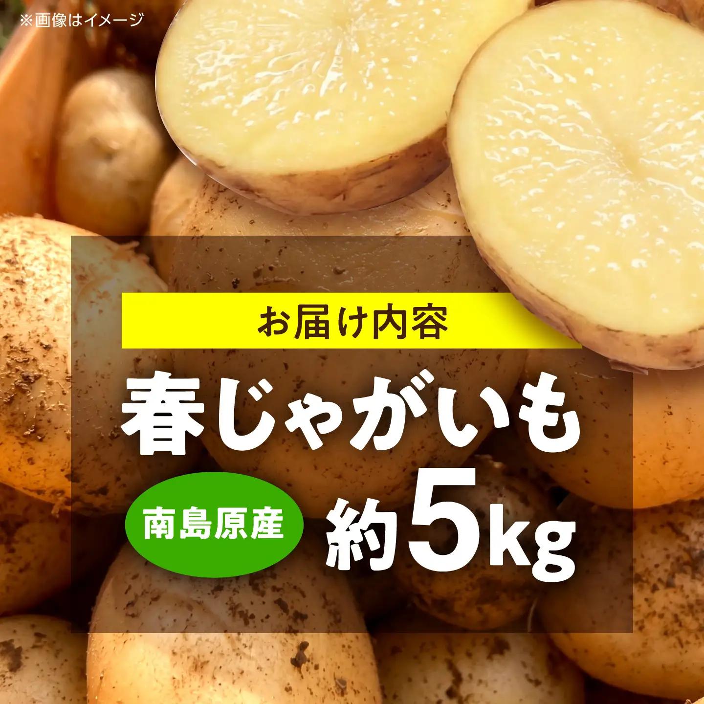 【2027年5月-発送】じゃがいも 約5kg 春じゃがいも[SGU001]