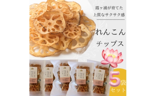 れんこんチップス 30g×5袋セット【1730768】