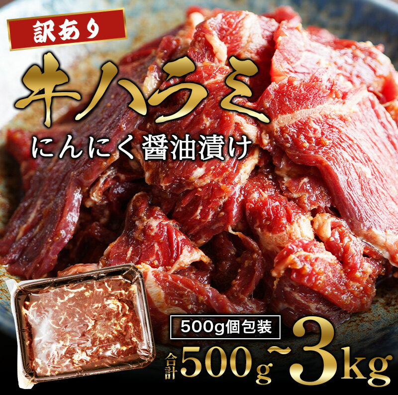 【ふるさと納税】 【12月8日までは 年内配送 】 【 訳あり 】牛ハラミ 焼肉 500g / 1kg / 1.5kg / 2kg / 3kg. 500g 小分け カット ハラミ 牛肉 肉 味付け にんにく醤油ダレ 特製タレ 不揃い 冷凍 人気 おすすめ お取り寄せ 焼き肉 バーベキュー BBQ 京都 舞鶴 幸福亭