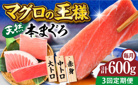 【全3回定期便】天然 本まぐろ 大トロ・中トロ・赤身（約200ｇ×3柵）約600ｇ 【横須賀商工会議所 おもてなしギフト事務局（本まぐろ直売所）】 [AKAK074]