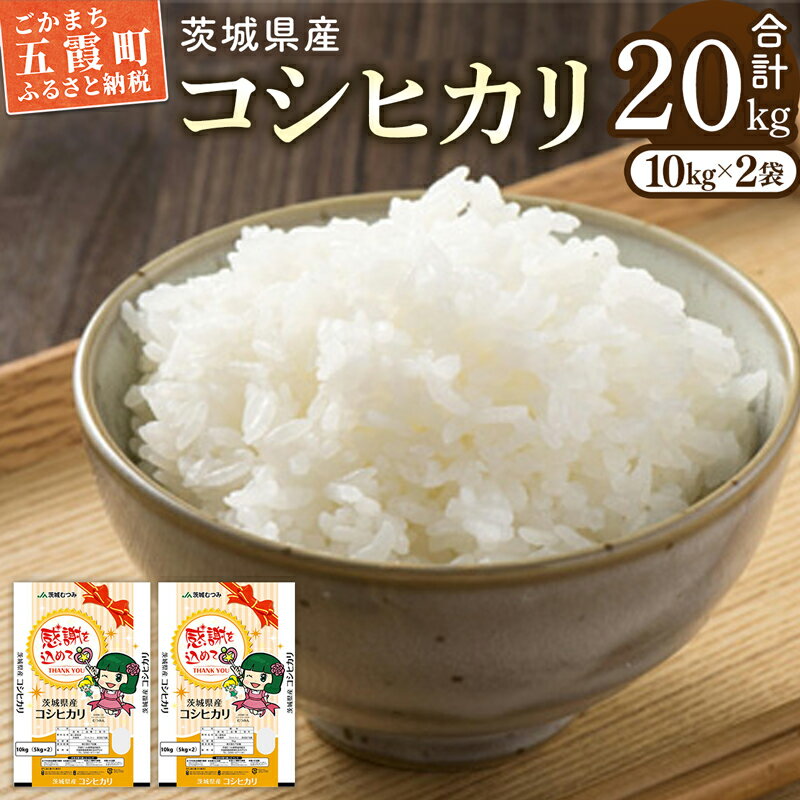 【ふるさと納税】令和7年産 茨城県産コシヒカリ20kg(精米) ／ お米 精米 こしひかり 旨味 安心 美味しい JA茨城むつみ 茨城県 五霞町【価格改定】【1346727】