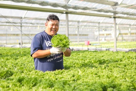 おかけんふぁーむ リーフレタス（栽培期間中農薬不使用） レタス