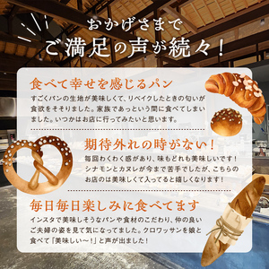 粉と米ハードパン便 スタッフセレクト９種類 ハードタイプ 5種類 合計14種類 パン 木の実 フィグノア オレンジ コーヒー チョコ ナッツ カンパーニュ ロデヴ ブレッド 小麦 優しいパン F6L-