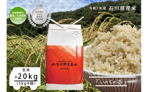 《令和7年産》【お米番付優秀賞受賞農家】日本一粒の大きいお米『いのちの壱』玄米20kg