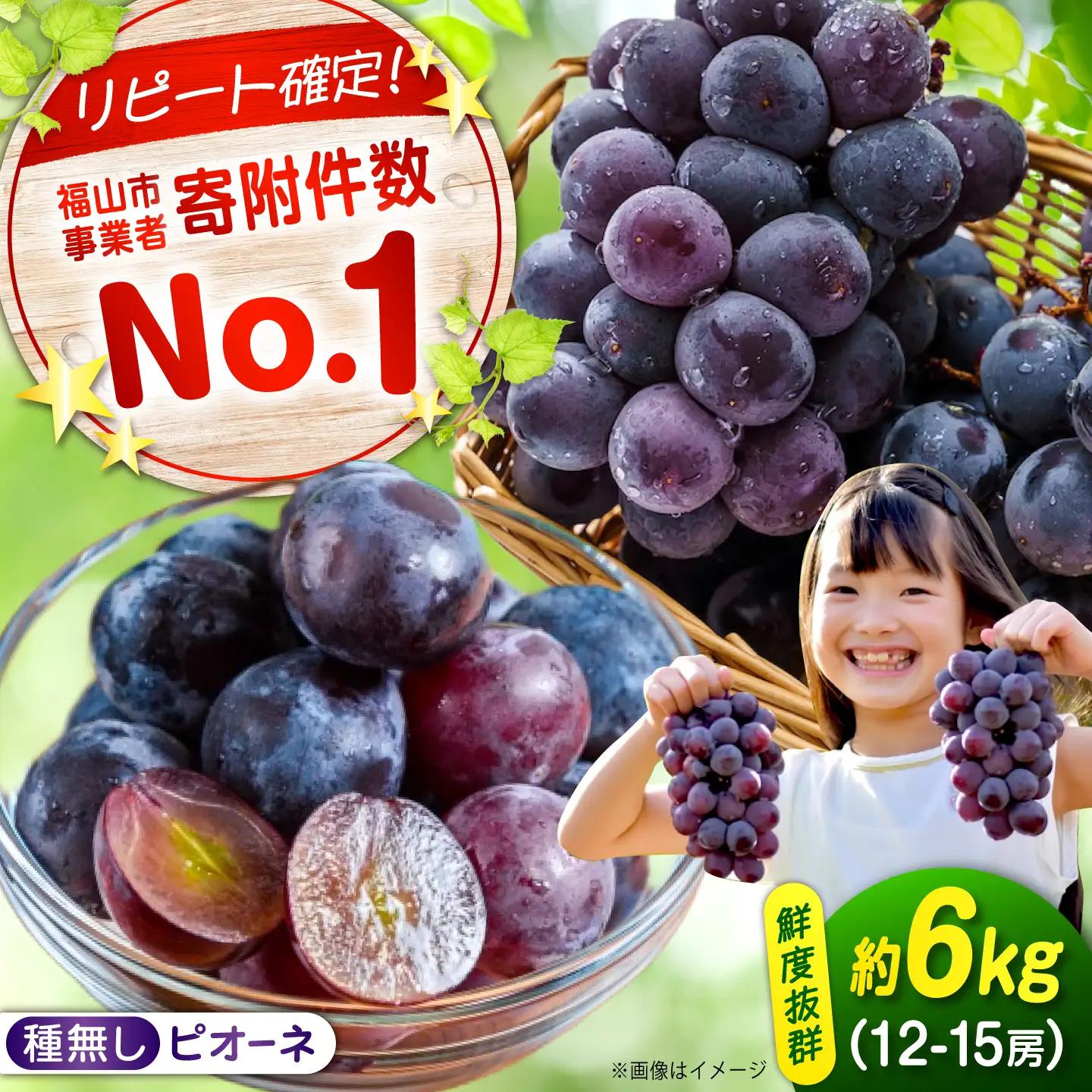 【期間限定/8月下旬から9月上旬頃発送】 沼隈ぶどう「ピオーネ」 約2kg×3[BAEV007] ぶどう