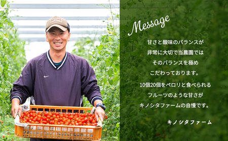 【2025年10月～順次出荷】ミニトマト2kg　アマメイド糖度8度以上　高リピート率野菜