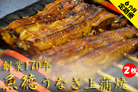 【定期便 6ヶ月】うなぎ 蒲焼 2枚 セット 150g 上品 肝つき 山椒付き 冷蔵 創業170年 魚徳