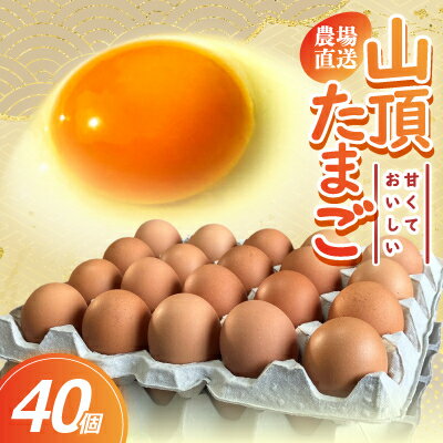 【ふるさと納税】養鶏場から直送!甘くておいしい「山頂たまご」赤たまご　40個【1486633】