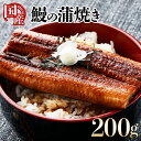 【ふるさと納税】国産うなぎカット大 合計200g（100g×2袋）ウナギ 鰻 高知県 東洋町 四国 お取り寄せ 家庭用 自宅用 贈り物 ギフト タレ・山椒付き うな重 鰻丼 うな丼 うな茶漬け 【送料無料】TU-02