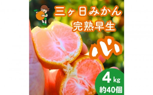 三ヶ日みかん（完熟早生「心」）4kg【2026年12月中旬以降順次発送】
