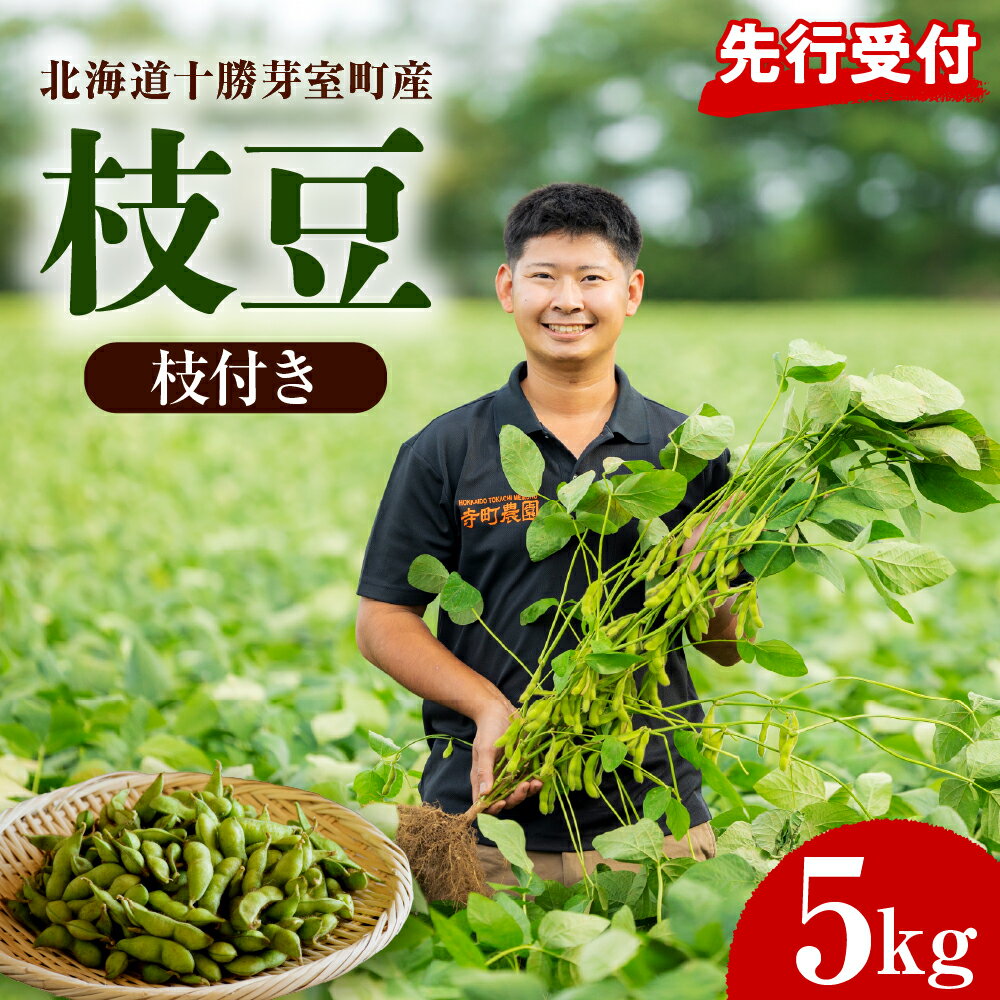 【ふるさと納税】 枝付き 枝豆 5kg 【2026年8月より発送】 先行予約 えだ豆 えだまめ 生枝豆 2026年産 野菜 冷蔵 おつまみ 晩酌 おやつ 弁当 美味しい お取り寄せグルメ 特産品 送料無料 北海道産 北海道 十勝 芽室町