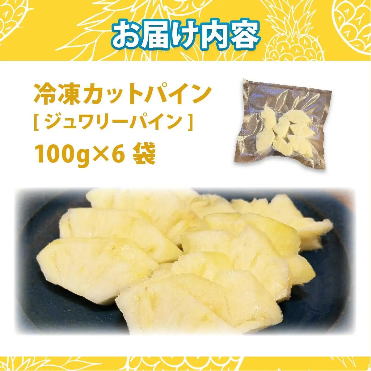 パイナップル 冷凍カットパイン（ジュワリーパイン）100g×6袋 