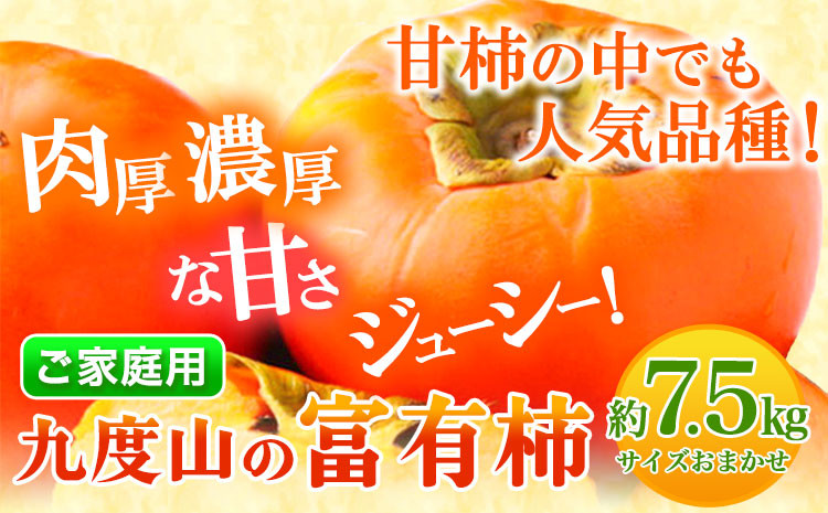 
                  富有柿〈ご家庭用〉 柿の名産地 九度山の富有柿 約7.5kg 厳選館《2026年11月上旬-12月上旬頃出荷》和歌山県 日高町 柿 カキ フルーツ ジューシー
                