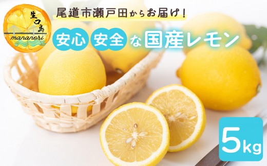 尾道市瀬戸田からの安心安全な国産レモン 5キロ