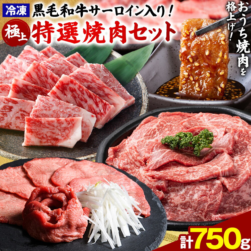 【ふるさと納税】 黒毛和牛 極上特選焼肉セット 750g 高椋畜産 《30日以内に出荷予定(土日祝除く)》 熊本県 南関町 牛肉 和牛 国産牛 黒毛和牛 牛ロース 牛カルビ 牛タン お肉 焼肉 BBQ 冷凍 送料無料