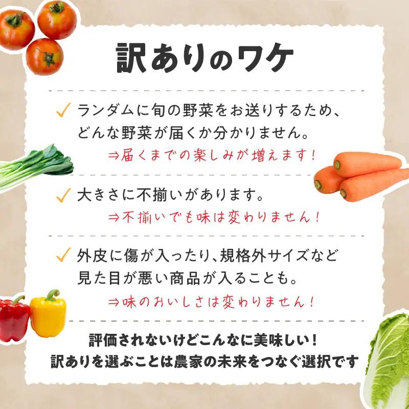 旬の野菜セット4回定期便 京丹後産 野菜おまかせBOX