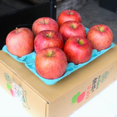 
            ＜25年12月出荷予定＞平均糖度13度以上! サンふじ 約3kg 贈答用【1612823】
          