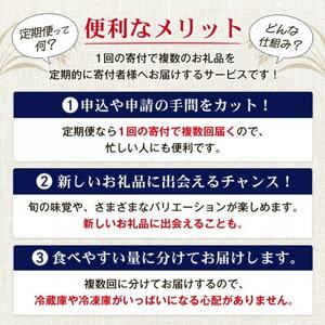 【６ヶ月定期便】オリオン ザ・プレミアム（350ml×24缶入）