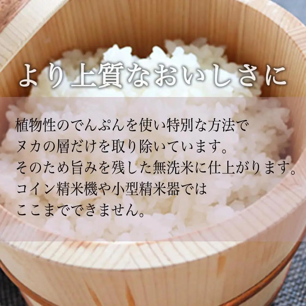 令和7年産 南魚沼産コシヒカリ《吟精無洗米》 5kg【銘柄米 ブランド米 無洗米 こしひかり コシヒカリ魚沼産 新潟米 新潟県産 産地直送 ご飯 御飯 ごはん お米 米 こめ コメ】