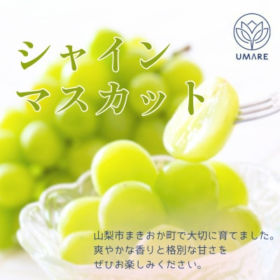 山梨県まきおか産　皮ごと食べられる葡萄3色セット【配送不可地域：離島・沖縄県】
