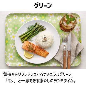 TATSU-CRAFT マグネットトレー M 33cm マーチ GR グリーン すべり止め付き ［Tk1092］