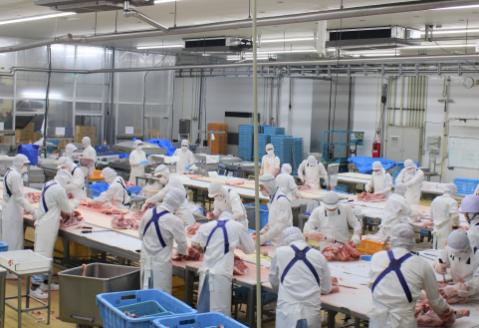 【部位4種食べ比べ！】九州産豚肉４種　贅沢セット　2.25㎏（国産 豚 豚肉 バラ ロース しゃぶしゃぶ 大容量 冷凍 送料無料）