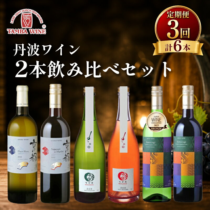 【ふるさと納税】 【3回定期便】丹波ワイン 飲み比べ 750ml 2本 × 3カ月 6本 セット ワイン 赤 白 ロゼ スパークリング 赤ワイン 白ワイン 国産ワイン 果実 果実酒 ぶどう ピノブラン サペラヴィ ミディアム ボディ ギフト 贈答 プレゼント お酒 酒 京都 京丹波町 丹波