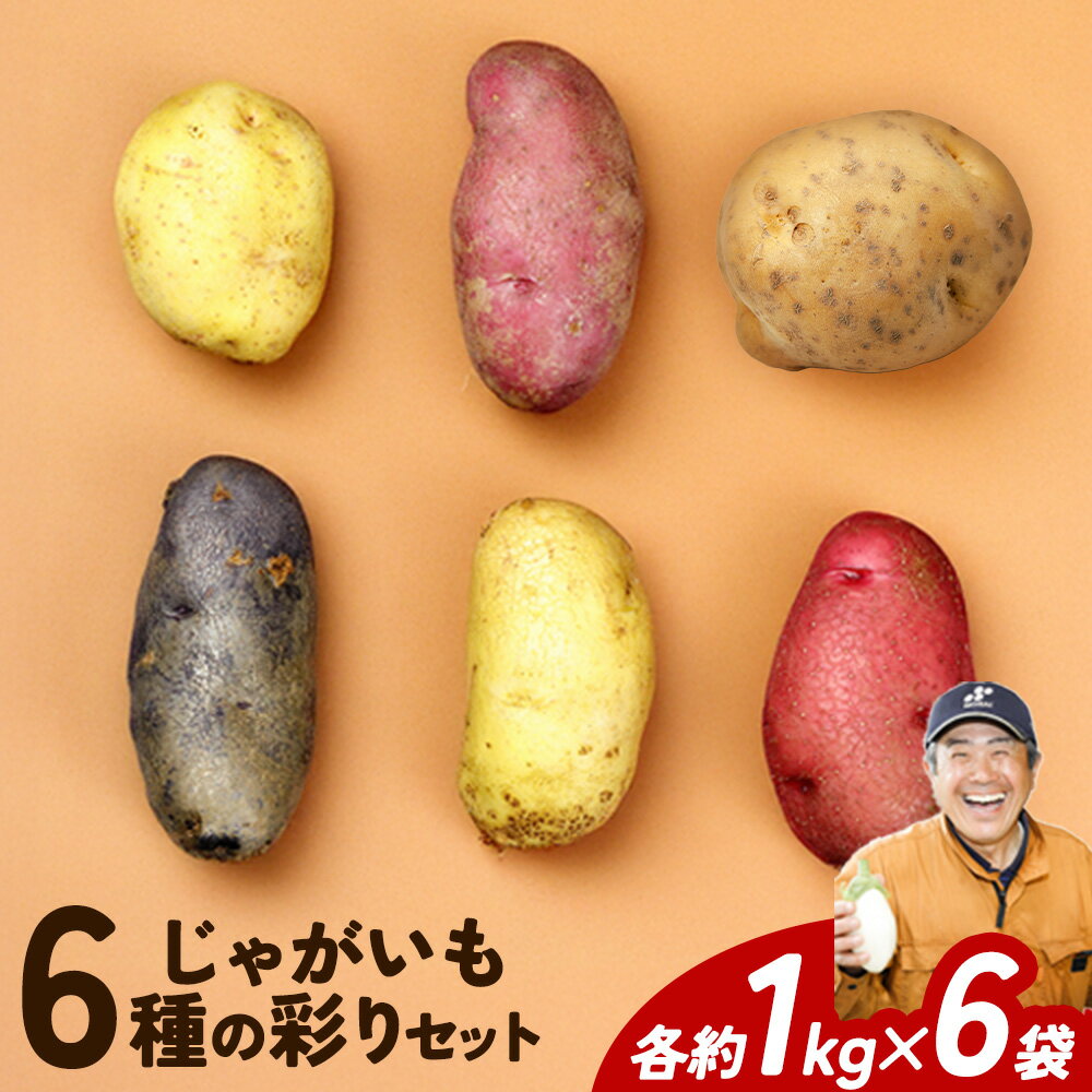 【ふるさと納税】じゃがいも6種の彩りセット 1kg × 6袋 元木農場《9月中旬頃から出荷(土日祝除く)》北海道 浦幌町 じゃがいも メークイン キタアカリ 男爵 シャドークイーン ノーザンルビー レッドムーン