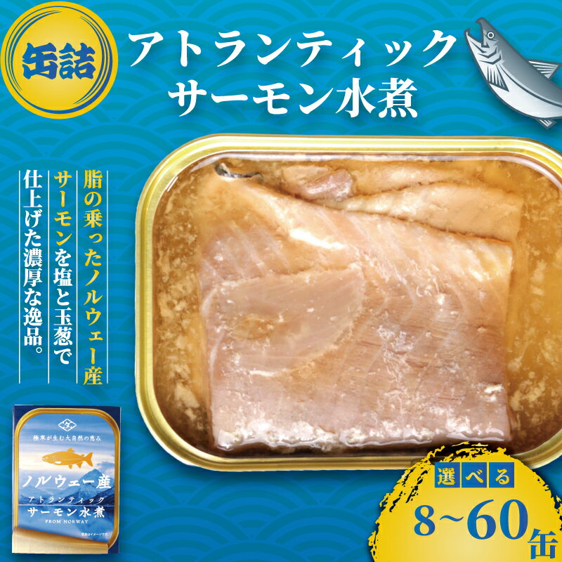 【ふるさと納税】 アトランティックサーモン サーモン水煮缶 8缶 30缶 60缶 サーモン缶詰 サーモン 水煮缶詰 サーモン缶 缶詰 缶 田原缶詰 千葉県 銚子市 海鮮 魚 調理 簡単 長期 保存 長持ち 贈り物 ギフト 贈答用 プレゼント 送料無料 サーモン 人気 鮭 しゃけ サケ