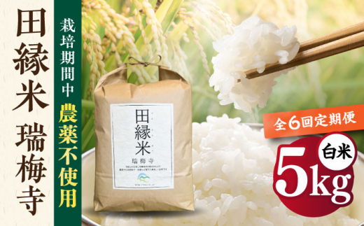 【先行受付中】 【全6回定期便】 田縁米(でんえんまい)・瑞梅寺(ずいばいじ) 白米 5kg 【2026年12月上旬順次発送】 糸島市 / NPO法人田縁プロジェクト 米 白米 [ATM007]