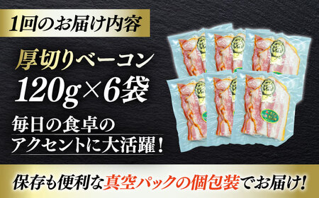 【全6回定期便】秒でプラスもう一品！ブランドポーク『オズの箱入り娘』使用！厚切りベーコンスライス×6ケ 合計720g 豚肉 小分け ベーコン プレゼント ギフト 愛媛県大洲市/株式会社オズメッセ[AG