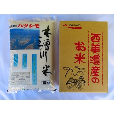 木曽三川米　ハツシモ令和3年産・精米(10kg)