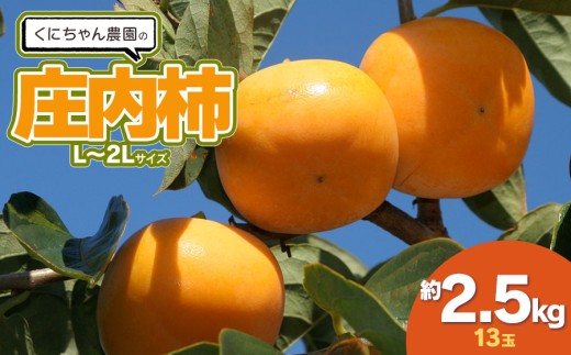 【令和7年産】くにちゃん農園の庄内柿　約2.5㎏（L～2Lサイズ 13玉）　[K-722]