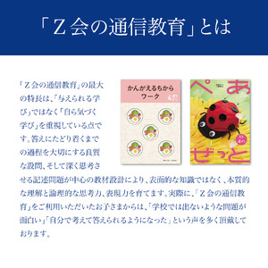【Ｚ会の通信教育】クーポン 幼児コース 3000円分 教育 学習 通信 学び 子供 クーポン Ｚ会 株式会社Ｚ会 静岡県 三島市