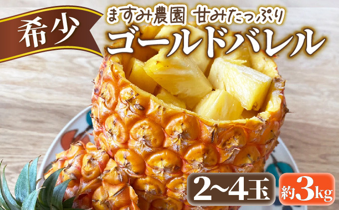 
2024年 先行予約 パイン ゴールドバレル 約3kg 2～4玉 ますみ農園 甘み たっぷり パイナップル 果物 フルーツ
