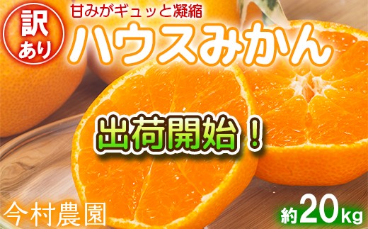 [訳あり 優品] ハウスみかん 約20kg【今村農園】ノーワックス 甘い 夏 旬 ジューシー 美味しい ビタミン 九州 大分県 温州 みかん ミカン ハウスみかん ハウスミカン 蜜柑 柑橘 20kg 