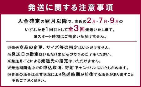 【全3回】和歌山厳選フルーツ定期便（ いちご 桃 シャインマスカット ）［MG16］