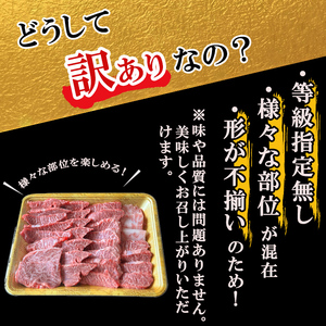 【訳あり・数量限定】うしの中山黒毛和牛切り落とし焼肉(計1.1kg・550g×2P) b5-177