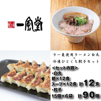 ふるさと納税 新宮町 【一風堂】白丸ラー麦麺12食とひとくち餃子6袋セット【豚骨ラーメン】.AH124