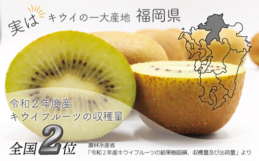 【2026年11～12月出荷】福岡県ブランドキウイフルーツ「博多甘うぃ」約7.2kg[H2333]