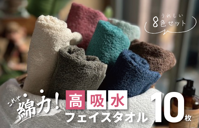 【スピード発送】高吸水 フェイスタオル 10枚セット【これぞ綿力 泉州タオル 国産 吸水 普段使い シンプル 日用品 家族 ファミリー 大阪 泉佐野 大阪府 泉佐野市】